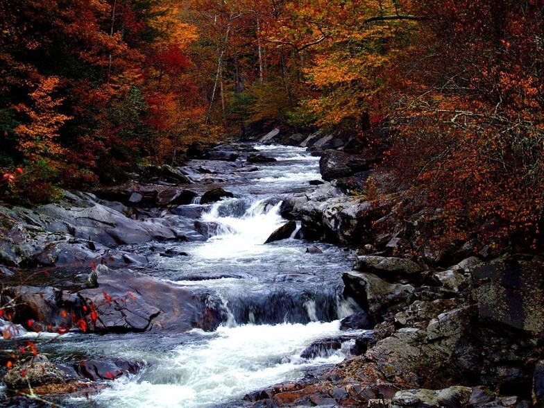 Picture of Murfreesboro
