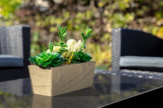 Building Photo - 3118 Dona Elena