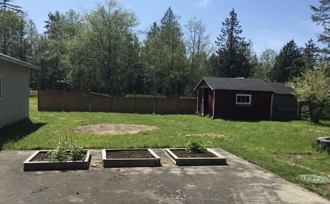 Backyard, no longer fenced - 919 E McLeod Rd