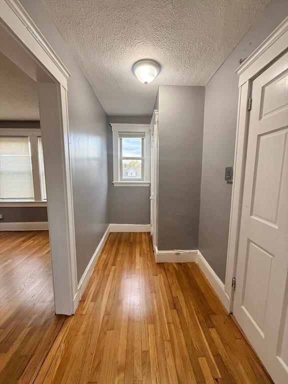 Building Photo - 39 Wentworth St