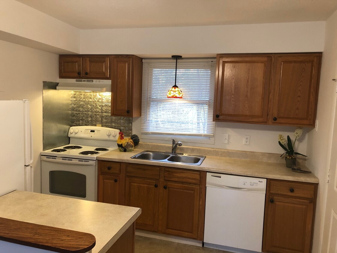 Beautiful Kitchen - 81 Dove Valley Ln