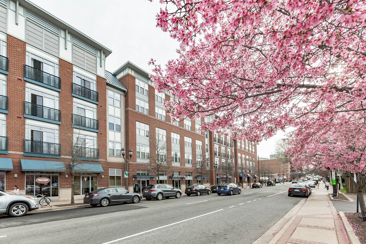 1800 Wilson Blvd Unit 325, Arlington, VA 22201 Condo for Rent in