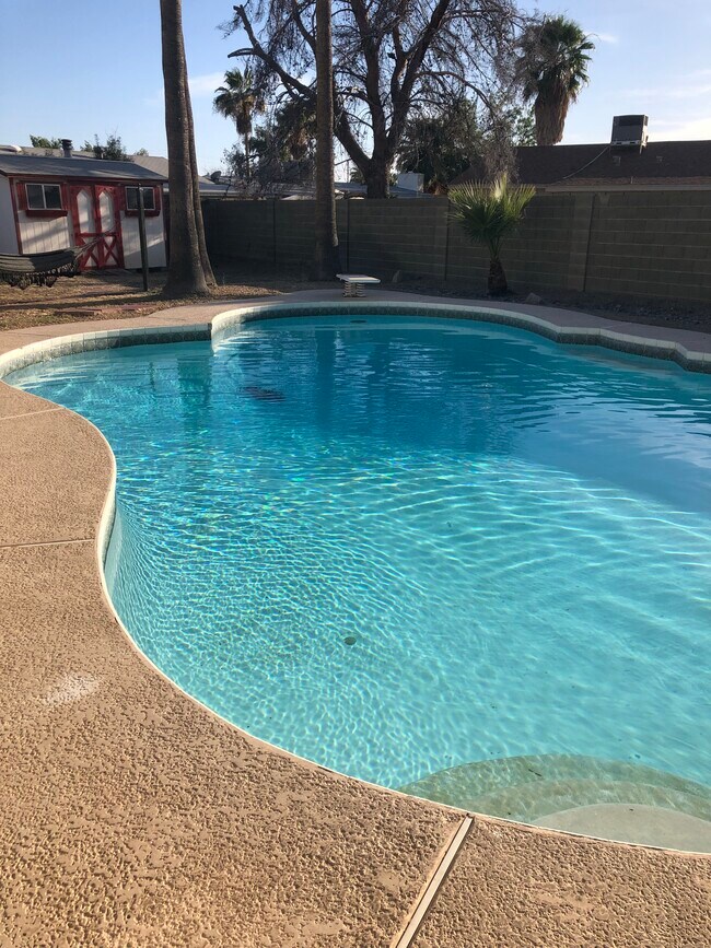 Huge diving pool - 460 N Los Alamos