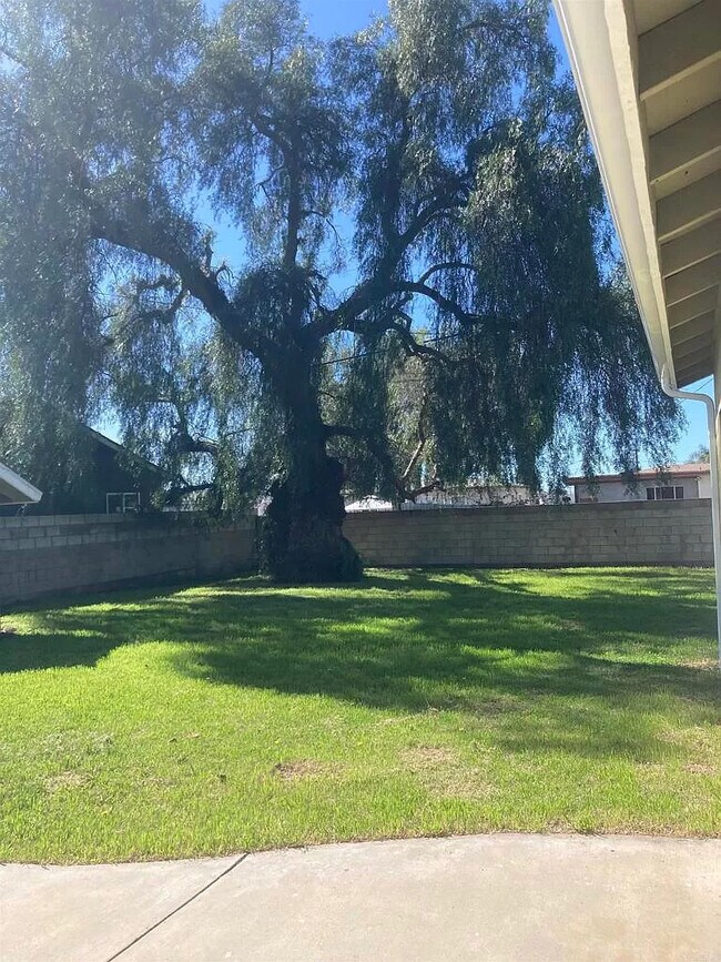 Foto del edificio - 658 W Manor Dr