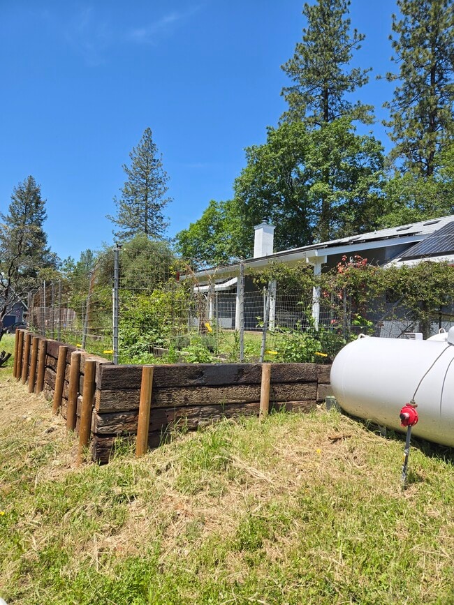 Small garden - 4521 Wild Lilac Ln