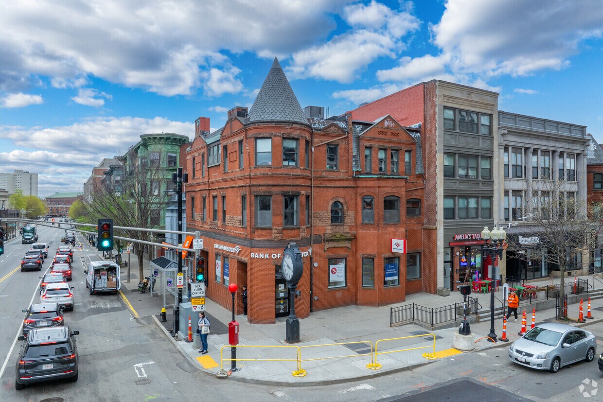 Primaria - Viola Back Bay