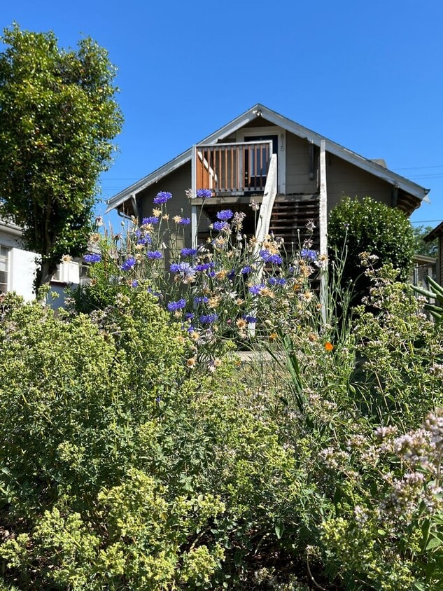 Charming 2nd Level Killingsworth Ct Retreat! - Charming 2nd Level Apartment
