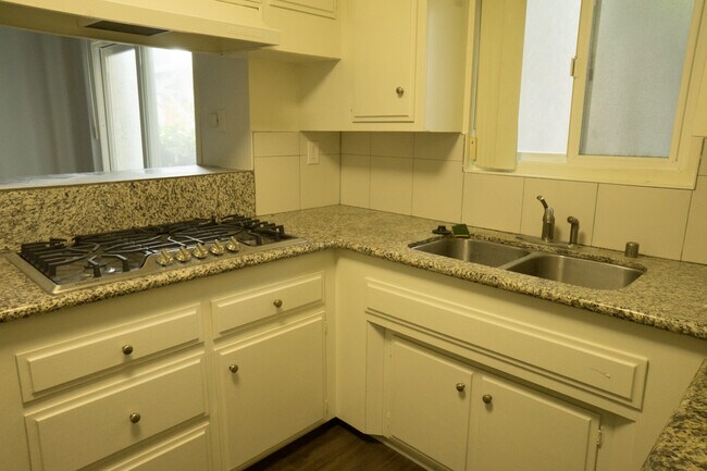 Kitchen Range Top and sink - 4042 La Salle Ave
