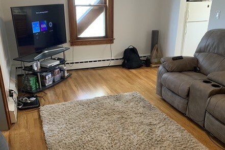 Living Room photo 2 - 129 W Wendell St