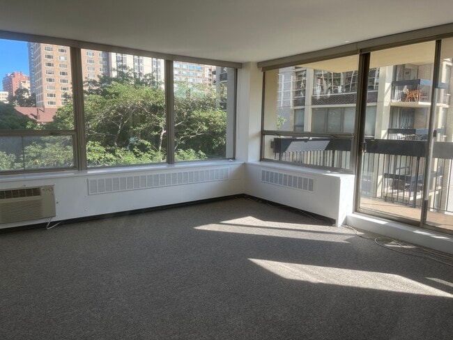 Foto del edificio - 1360 N Sandburg Terrace
