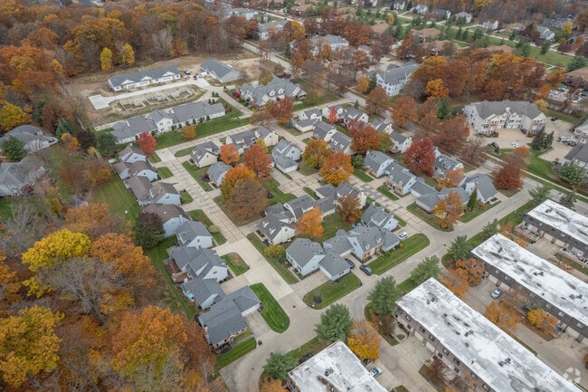 Aerial Photo - Pin Oaks