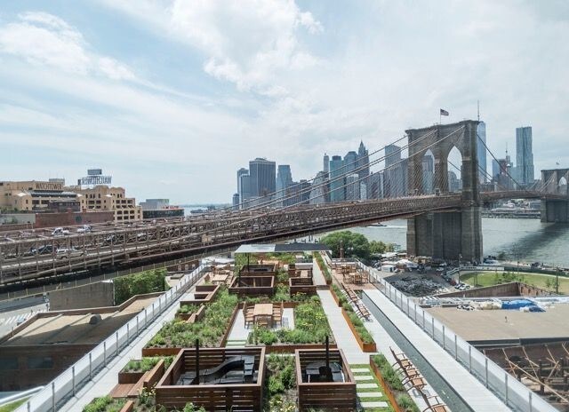 Building Photo - Dock Street Dumbo