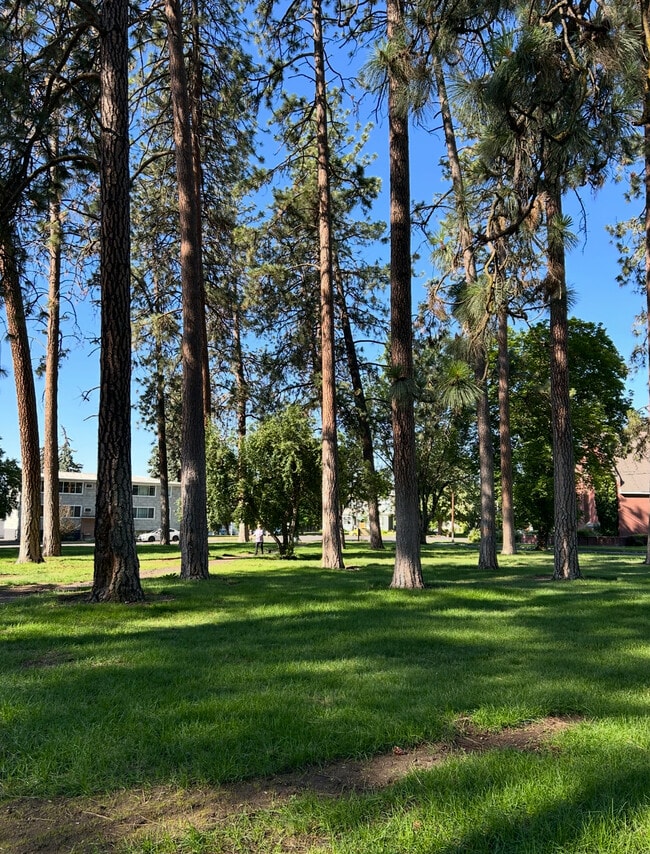 Building Photo - 405 S Coeur Dalene St