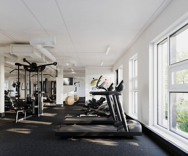 Salle de sport - Fynn