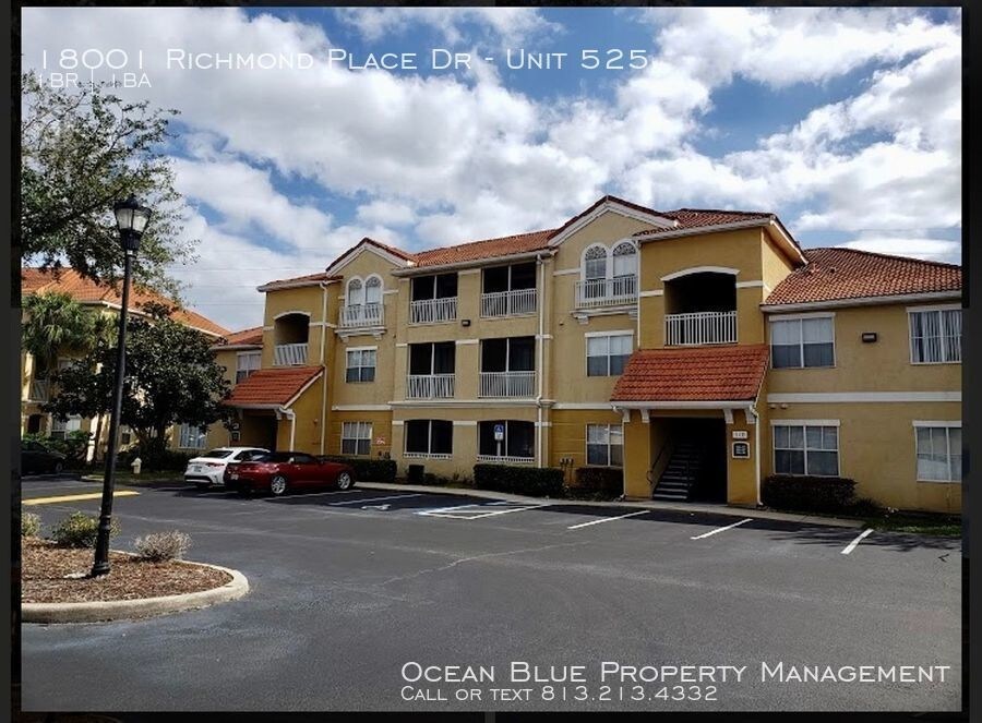 beautiful 1 1 condo at the enclave apartment for rent in tampa fl apartments com