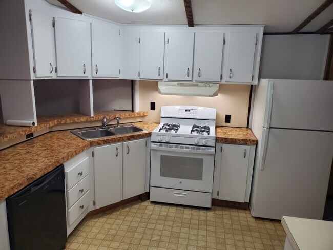 Kitchen/Stove & Refrigerator - 222 Spruce St