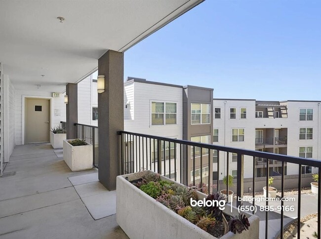 Foto del edificio - 8300 Oceanview Terrace