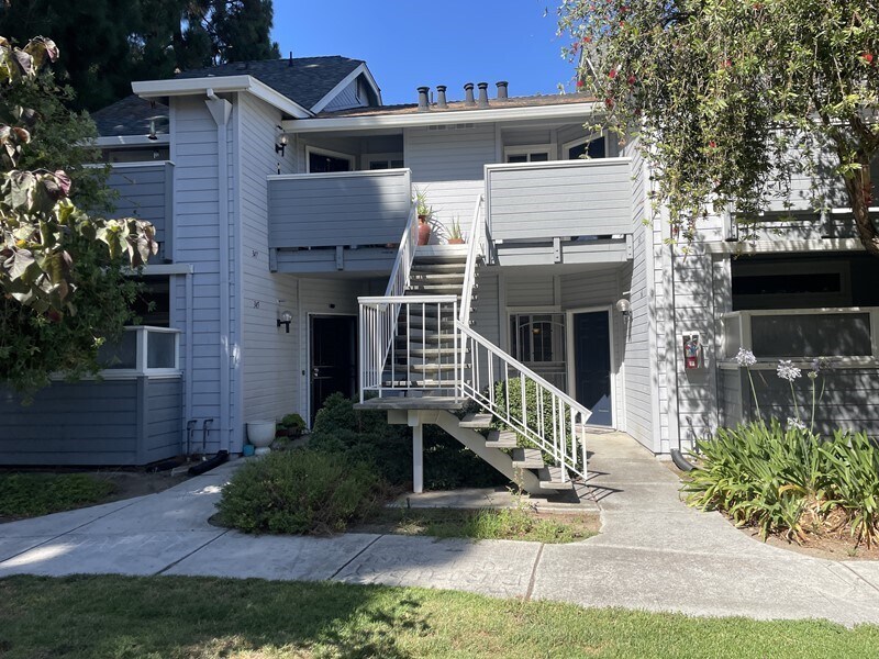 Primary Photo - San Jose