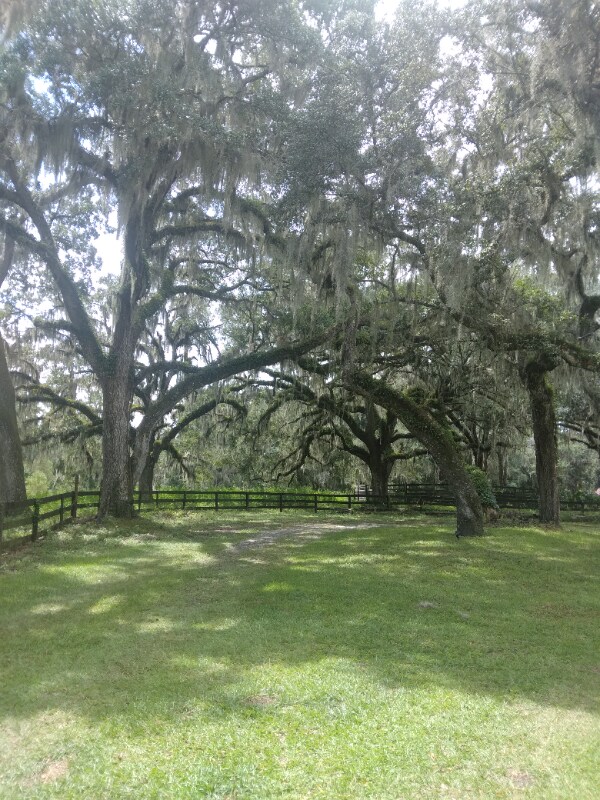 Foto del edificio - 8035 NW 120th St