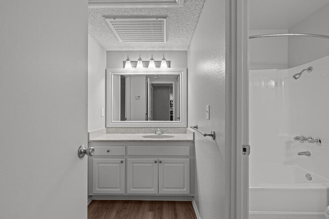 1 Bedroom - Hidden Springs Apartments
