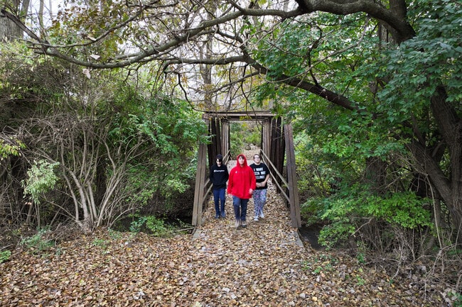 Portage park is a great place to go for a hike through the woods.