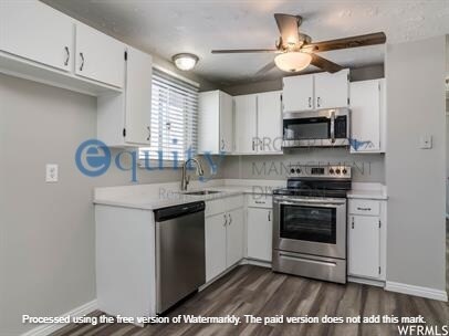 Foto del edificio - 3812 Fairmont Cir