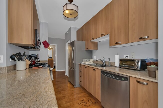 Granite countertops and gas stove, stainless steel appliances - 635 N Dearborn St Apartment