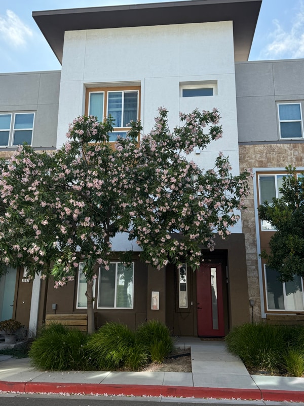 Primary Photo - 3979 Meridian St