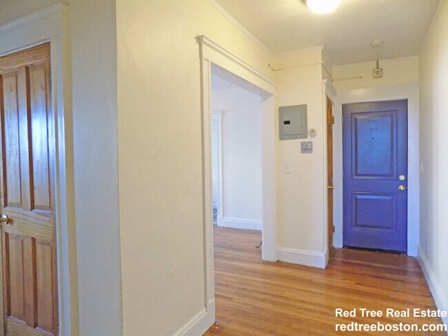 Foto del edificio - 244 Kelton St
