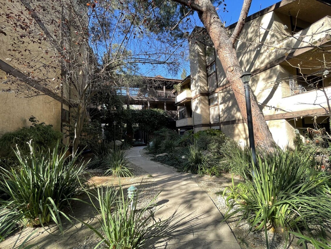 141 Apartments for Rent in Beachwood Canyon, CA Westside Rentals