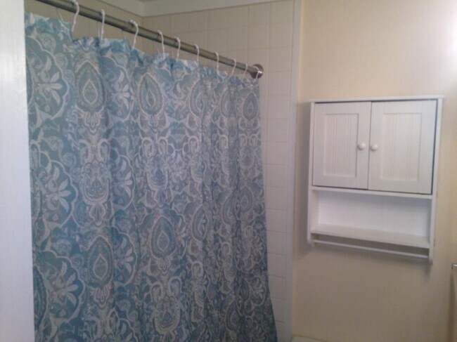 Bathroom con't - 1725 King Woods Dr, APT B