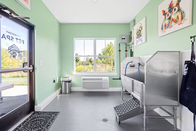 Building Photo - The Ascent Apartments of Plainfield