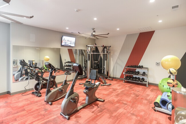 Fitness Center - The Line