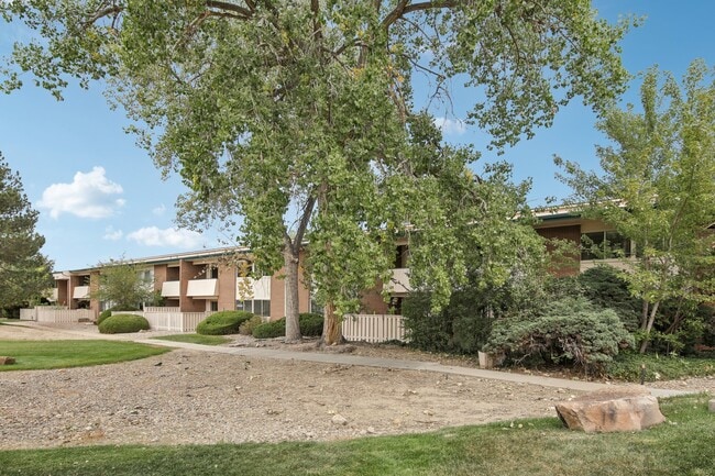 Building Photo - 5110 Williams Fork Trl