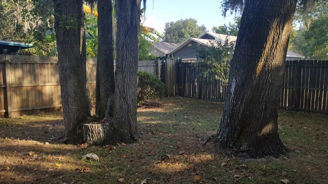 Building Photo - Serenola Manor 2/2 PENDING LEASE