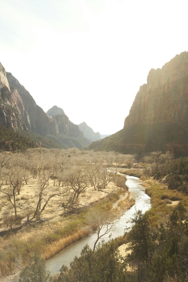 Building Photo - 736 W Rider Dr