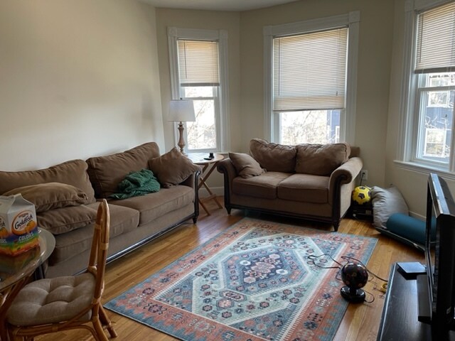 Foto del edificio - 29 Putnam Ave