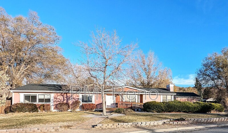 Primary Photo - 3828 Macaw Ln