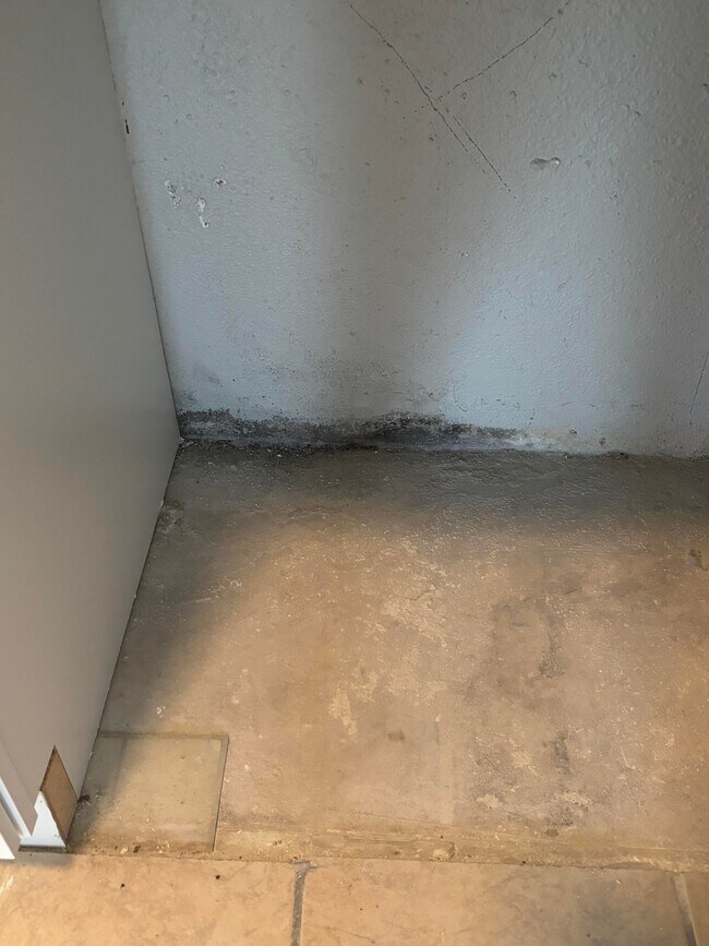 Foto del edificio - 650 Blakely Ave