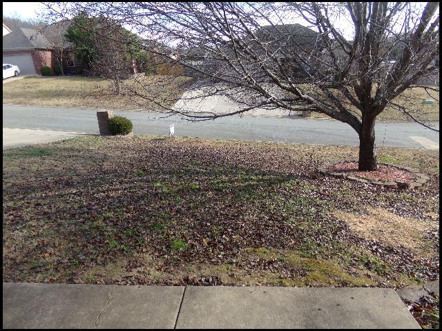 Foto del edificio - 12 Lauren Cove