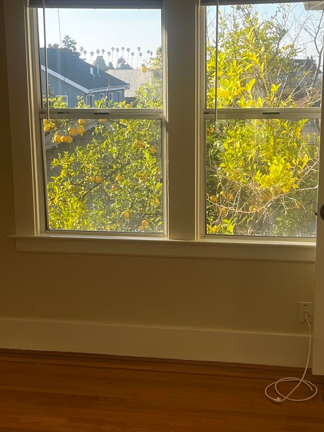 Building Photo - 917 MacArthur Blvd