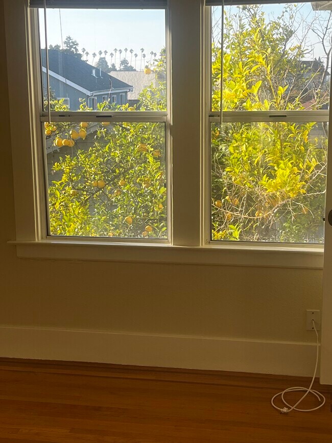 Foto del edificio - 917 MacArthur Blvd