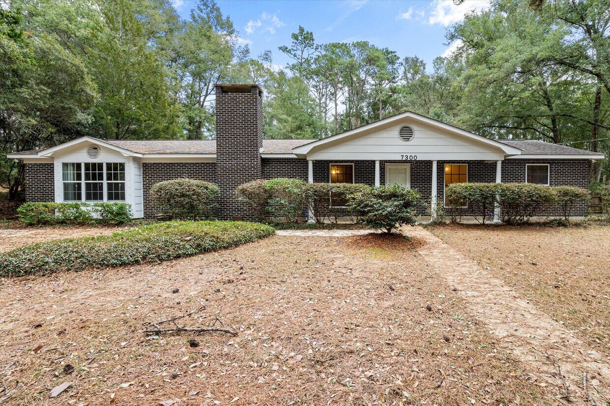 Primary Photo - Central to Daphne
