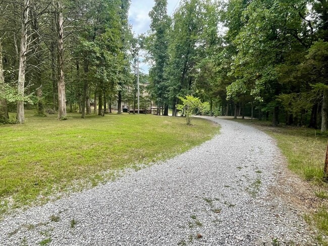 Building Photo - Unique 4 Bedroom Home on Dead-End Road w/ ...