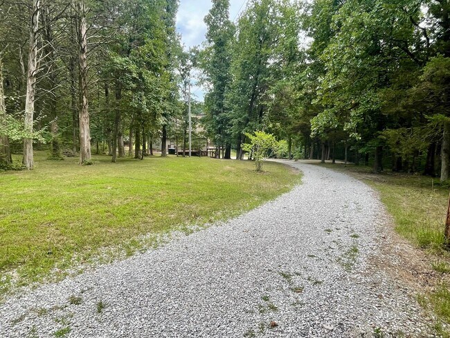 Foto del edificio - Unique 4 Bedroom Home on Dead-End Road w/ 6 Acres
