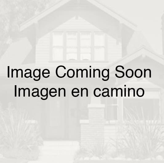 Primary Photo - Palmetto Frond