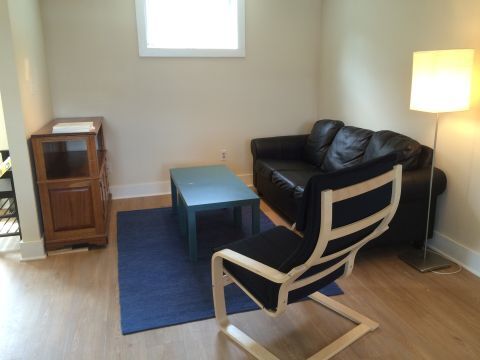 living area - 315 W 4th St