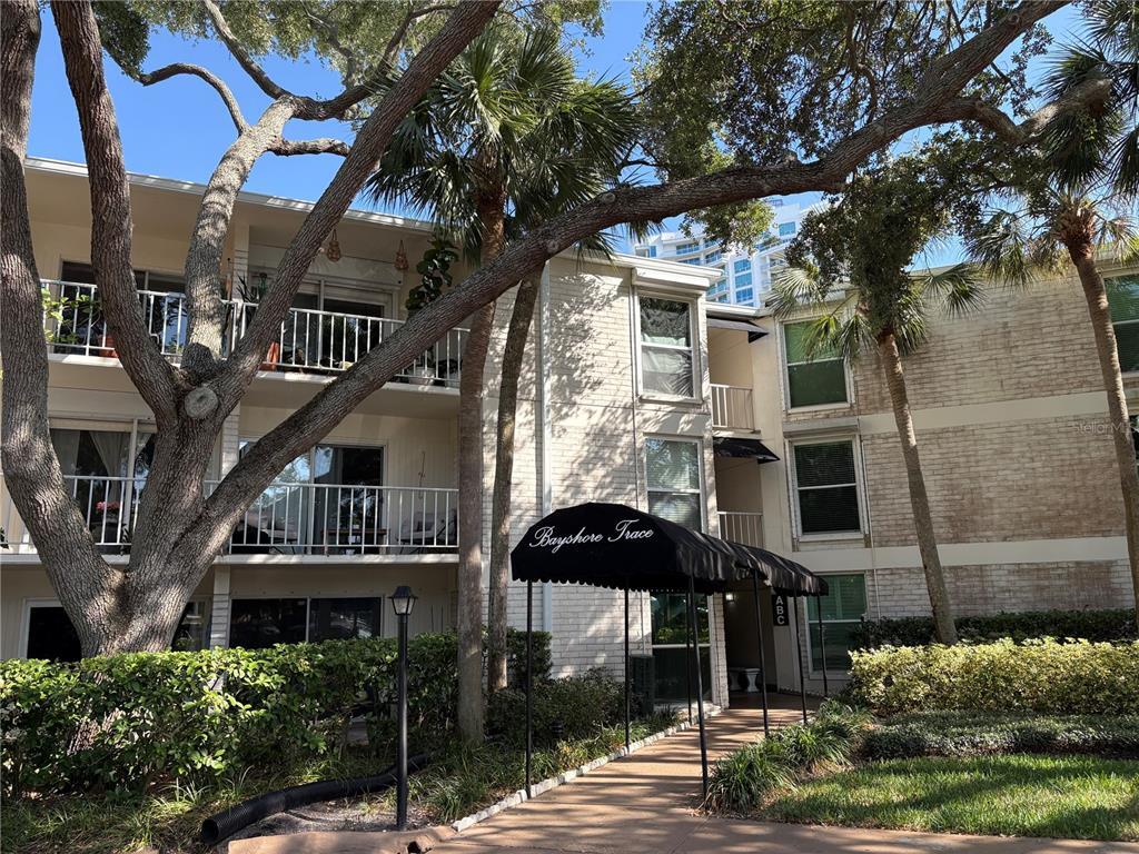 Primary Photo - 3325 Bayshore Blvd