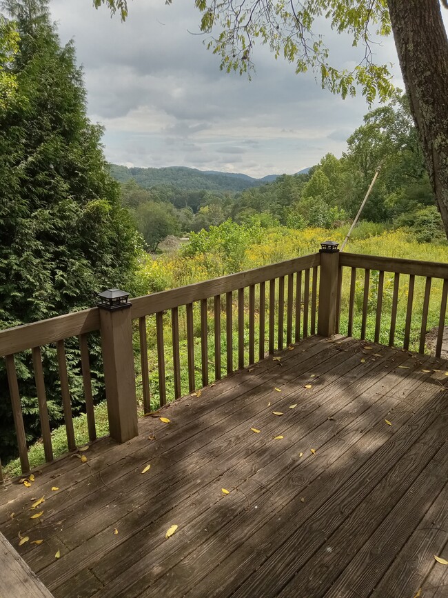 East View from Front Door - 535 School Rd