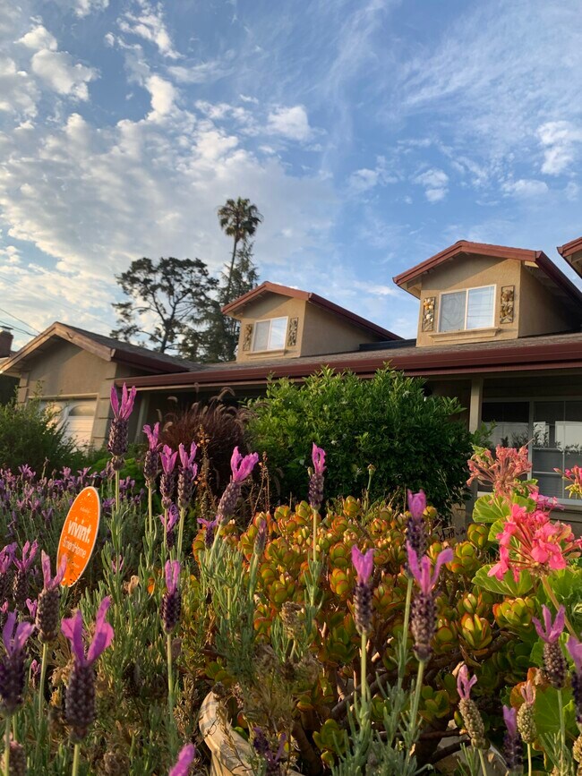 Foto del edificio - 4460 Stanford Ave